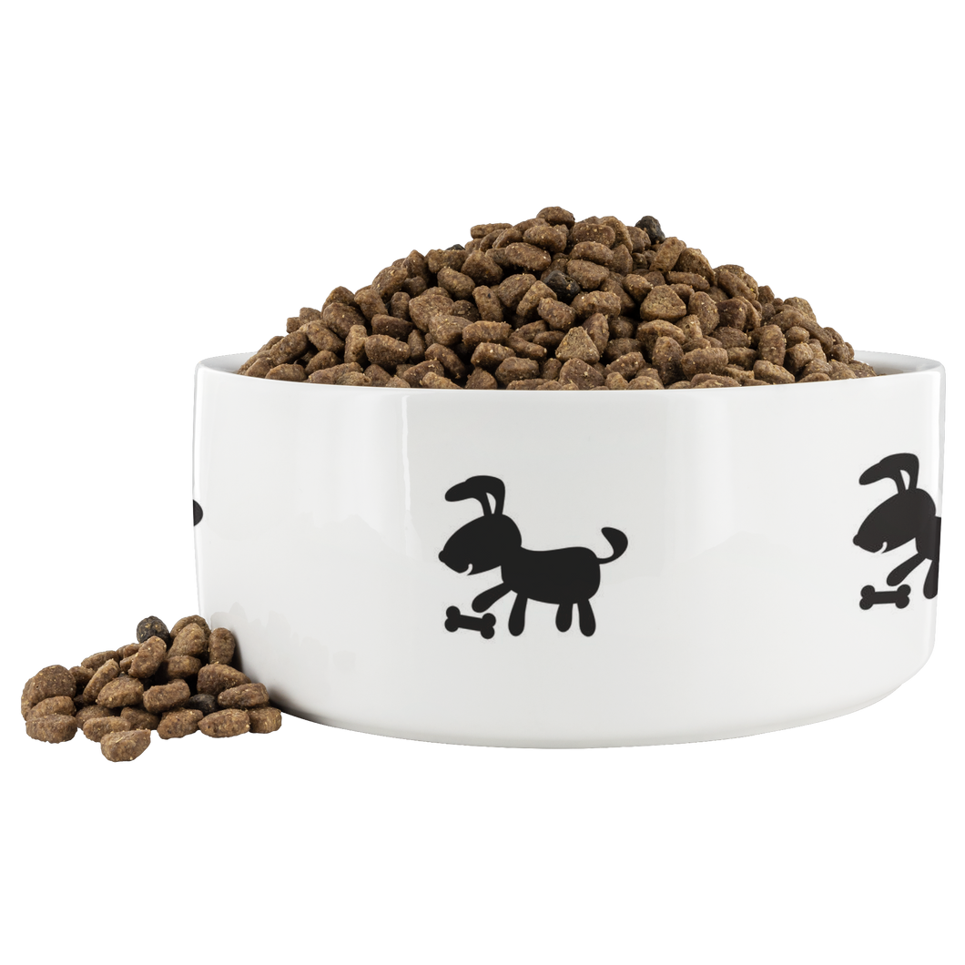 Dog Bowl Dog Black